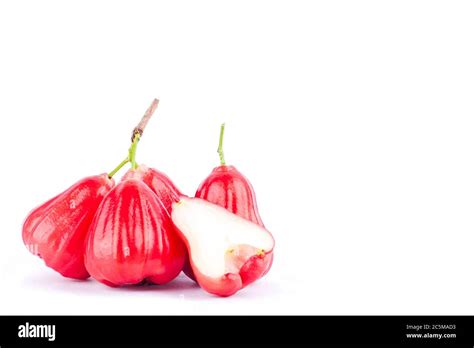 Red Rose Apple Or Bell Fruit On White Background Healthy Rose Apple