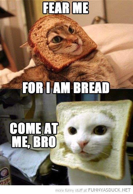 Fear Me For I Am Bread Come At Me Bro The Original Bread Cat And