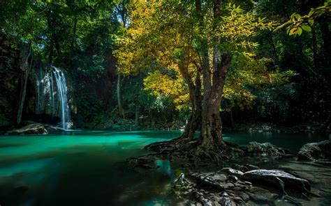 Green Leafed Tree Nature Landscape Waterfall Thailand Hd Wallpaper