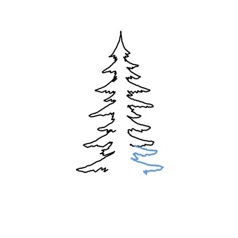 Drawing A Pine Tree