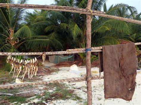 Address to send the form: 22 Activities To Do in Lakshadweep - Weekend Thrill