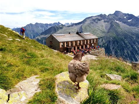 Hike To The Olperer Hut In The Zillertal Alps Travel Tyrol