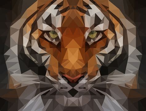 Candice Diass Portfolio Graphics Geometric Animals Tiger Art