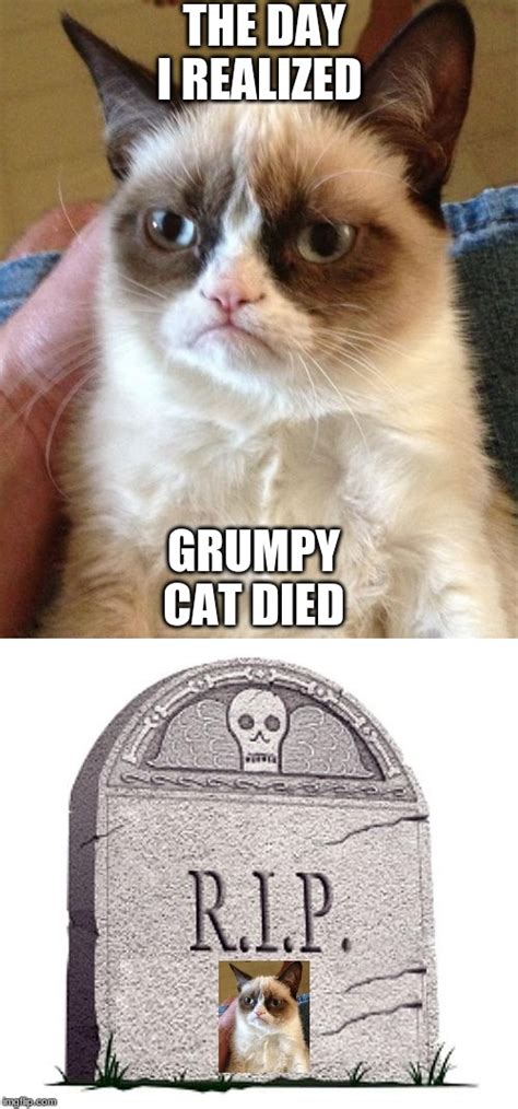 Grumpy Cat Meme Imgflip Riset