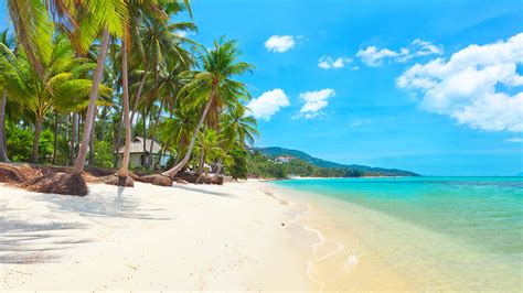Five Luxurious Experiences To Have In Koh Samui