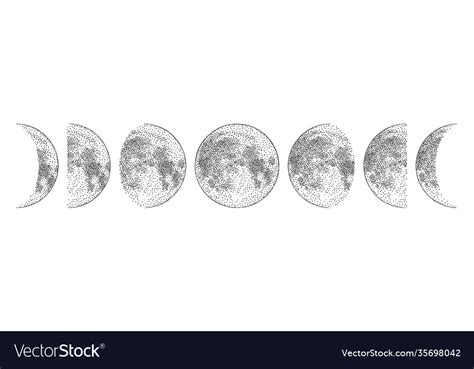 Phases Moon Monochrome Hand Drawn Royalty Free Vector Image
