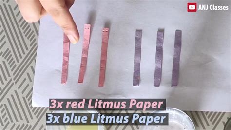 Litmus Paper Test To Detect Acid Bases And Neutral Substance Youtube