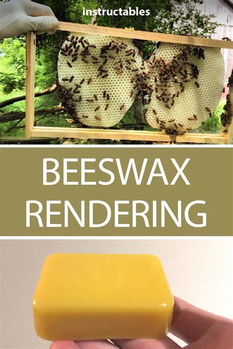 Beekeeping Is Endlessly Fascinating Learn A Little Bit More About