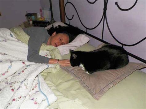 We did not find results for: The 5 Stages of Sleeping With My Cat - Catster