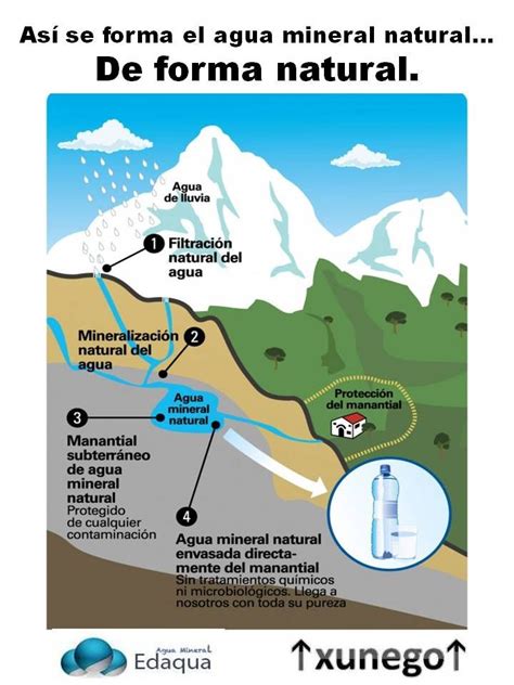 Distintos Tipos De Agua Tipos De Agua Agua Agua Mineral Natural