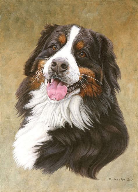 Bernese Mountain Dog By Newagetraveller On Deviantart Dog Paintings