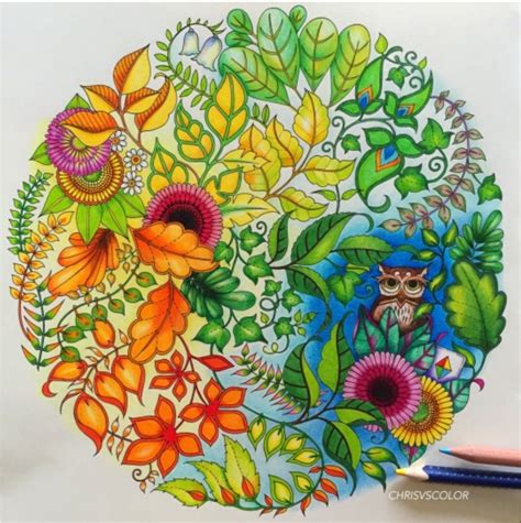 Download Johanna basford | Enchanted forest coloring book ...