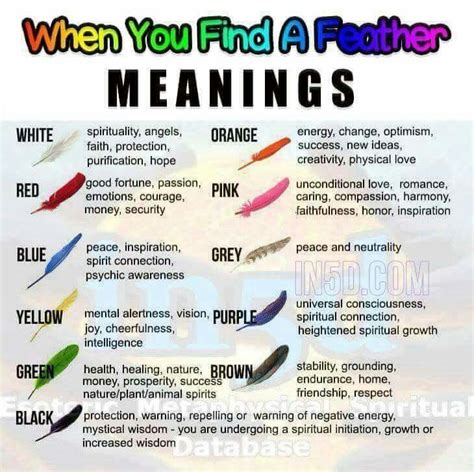 Feather Meanings Feather Meaning Feather Color Meaning Spirituality