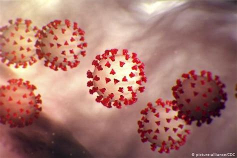 Covid 19 sốt bao nhiêu độ? Virus gây bệnh Covid-19 hiện tại lây nhanh gấp 3-6 lần ...