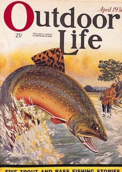 Outdoor Life Magazine Cover Art