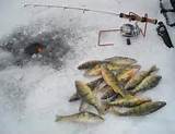 Ice Fishing Nebraska Pictures