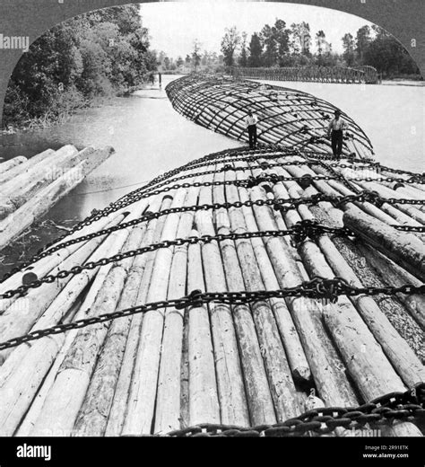 Oregon C 1895 Huge Rafts Of Timber Being Floated Down The Columbia