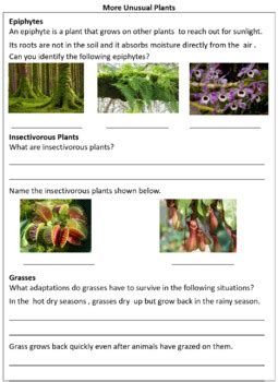 Adaptations in Plants (Terrestrial and Aquatic) : Worksheets for Grade