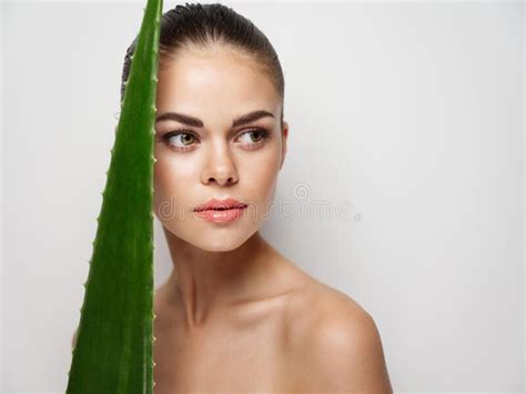 Aloe Model Stock Photos Free Royalty Free Stock Photos From