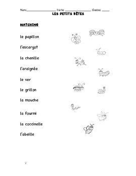 french bugs puzzles worksheets crossword matching word search