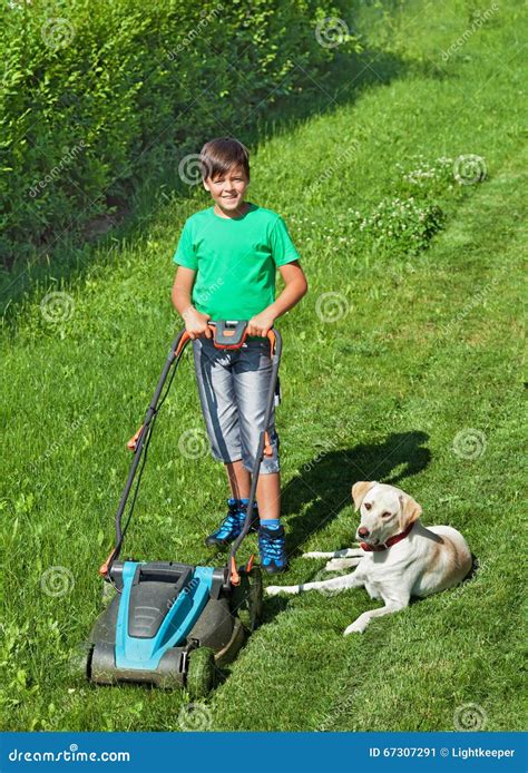 Young Boy Mowing The Lawn Accompanied By His Labrador Doggie Stock