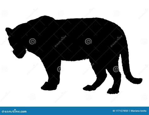 Leopard Silhouette Cartoon Vector 18121369