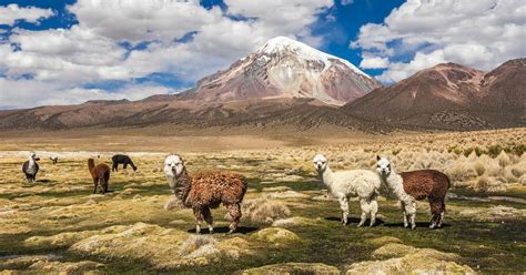 Bolivien Rundreisen Jetzt Termine F R Buchen