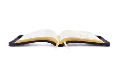 Opened Holy Bible Book Stock Photo Download Image Now