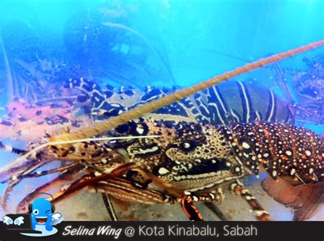 Inanam new gaya seafood restaurant. Welcome Seafood Restaurant @ Asia City Kota Kinabalu ...
