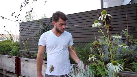 Neben dem galabau bieten wir kaminholz und brennholz an. Fischer Garten- und Landschaftsarchitektur AG: Projekt ...