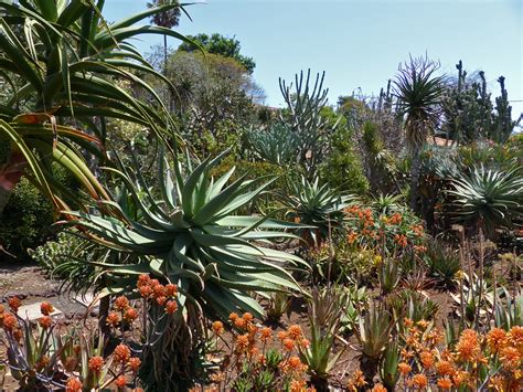 Da der botanische garten etwas oberhalb liegt. Funchal-Botanischer-Garten-24 | Rolf Maltas Website