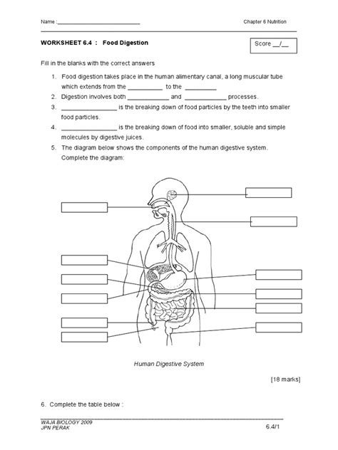 Printable Digestive System Worksheet