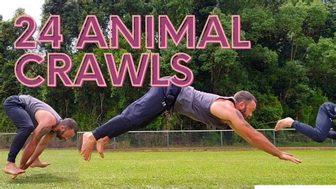 24 Unconventional Animal Crawl Exercises For Movement Training Youtube
