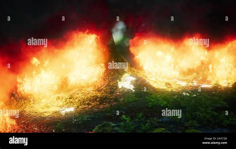 Wind Blowing On A Flaming Trees During A Forest Fire Stock Photo Alamy