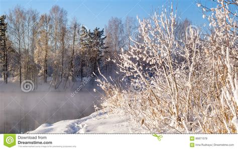 Frosty Morning In The Ural Forest With River And Fog Russia Stock