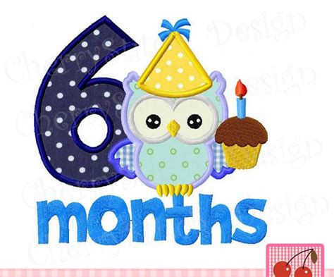 Baby 6 Monthsbirthday Number 6 With Owl Design For Boysnew Baby