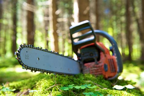 Professional electric knife sharpener for straight and serrated. How To Sharpen a Chainsaw With a Dremel: A Beginner's ...