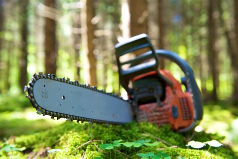 Whetstones can work just as well for sharpening your prized hatchet, but they do come with a few drawbacks, namely that you'll need to use a stone far, far more coarse than a typical course whetstone you would use for repairing the edge of your favorite pocket knife. How To Sharpen a Chainsaw With a Dremel: A Beginner's ...