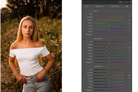 How To Get Brown Tones In Lightroom And Create Your Own Preset