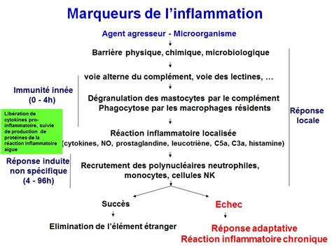 Marqueurs De Linflammation 1
