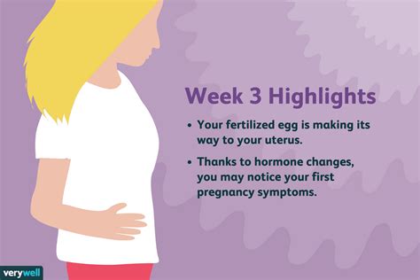 3 Weeks Pregnant Baby Development Symptoms And More