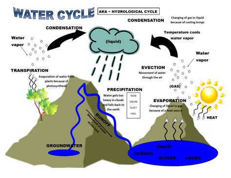 Water Cycle Earth Science