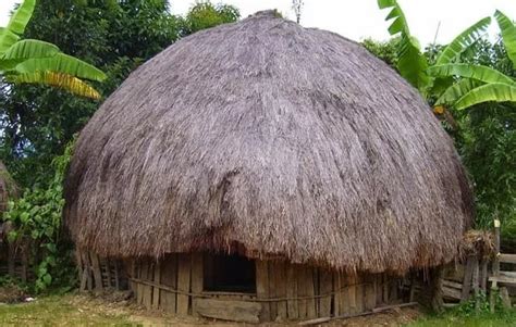 Ciri khas dari rumah adat papua honai. Rumah Adat Papua (Disertai Gambar dan Penjelasannya secara ...
