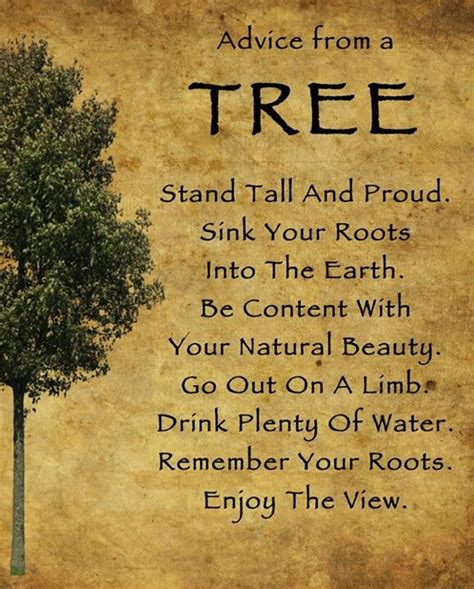 Live Like A Tree Tree Quotes Tree Poem Natural Beauty Quotes