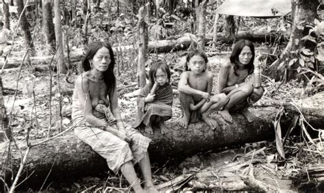 Punan Villagers Photographed By Lt Chris Johnson Borneo 1965 Paradata
