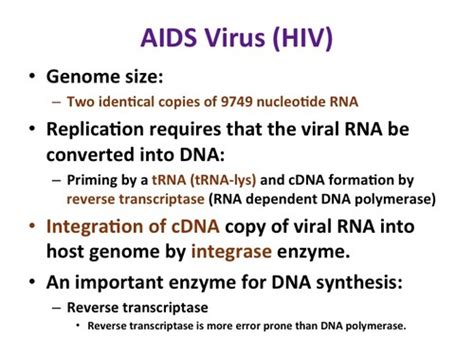 Jun 12, 2021 · cell division gizmo answer key. Dna Replication Worksheet Answer Key Quizlet - Ligase In ...