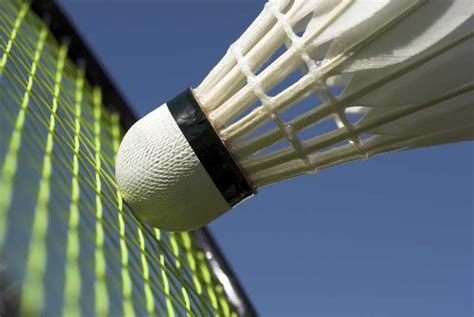 UAAP Badminton Ateneo Vs UP Sa Finals Pilipino Star Ngayon