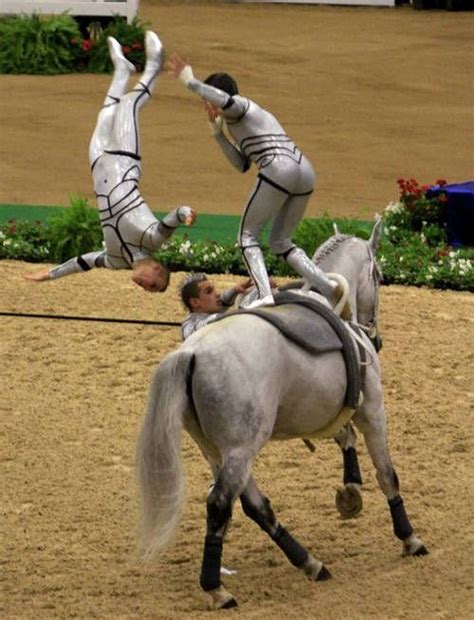 Vaulting My Favorite Horse Sport Vaulting Equestrian Vaulting