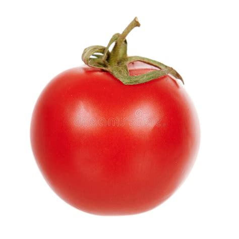 Red Round Tomato Fresh And Juicy Vegetable Isolated On White
