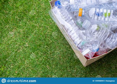 Las Botellas Pl Sticas Adentro Reciclan La Caja De La Basura Imagen De